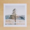 Lotheni Collection 04 - Image 4