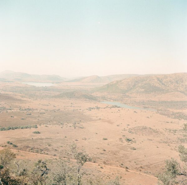 Pilanesberg No. 01